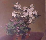 Violetas y Azaleas